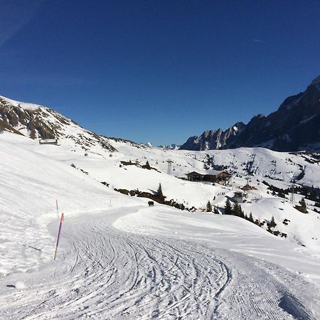 Grindelwald-Sunneblick Διαμέρισμα Εξωτερικό φωτογραφία