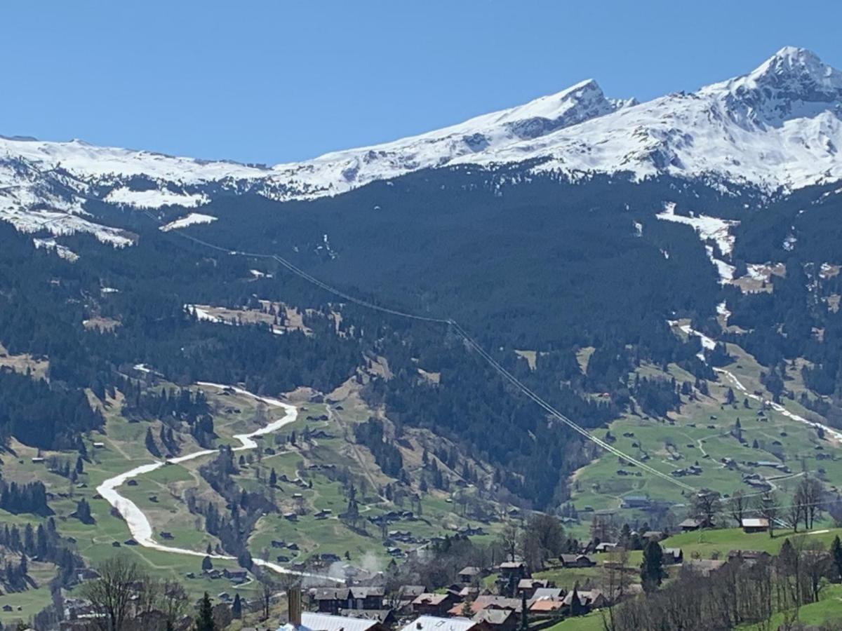 Grindelwald-Sunneblick Διαμέρισμα Εξωτερικό φωτογραφία