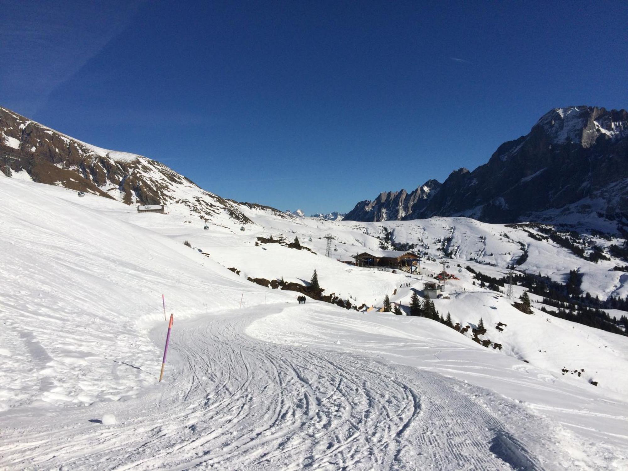 Grindelwald-Sunneblick Διαμέρισμα Εξωτερικό φωτογραφία